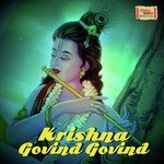 Krishna Govind Govind - Shaan Song Download